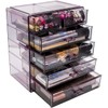 Sorbus Cosmetics Makeup and Jewelry Big Purple Storage Case Display-