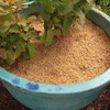GARDENERA Premium Rice Hulls - Sustainable Gardening Essential for Improved