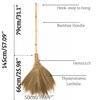 TTS For Home Vietnamese Natural Soft Broom - Broom Grass