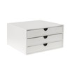 UnionBasic Document Organizer, 3-Drawer File Cabinet Document Storage Box, Office