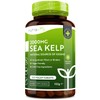 Nutravita Sea Kelp 2000mg - Natural Source of Iodine -