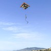 In the Breeze 3329 — 72-inch Rainbow Stripe Delta Kite