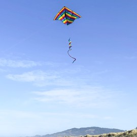 In the Breeze 3329 — 72-inch Rainbow Stripe Delta Kite with Spinning Tail — Large, Easy-Flying Kite