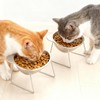 AIHSUMC Elevated Cat Bowls 3 Pack, 15° Tilted Raised Cat