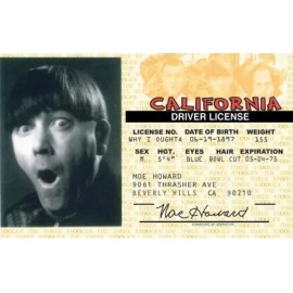 MOE OF THE THREE STOOGES DL TRADING CARD !!!!