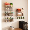 Mefirt White 9-Tier Over The Door Pantry Organizer, Pantry Organization