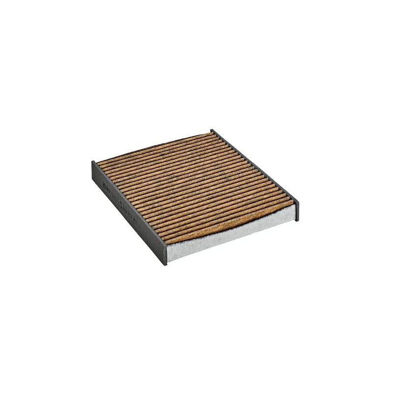 VALEO 701029 Filter Interior Air Protect Max Polyphenol with Activated