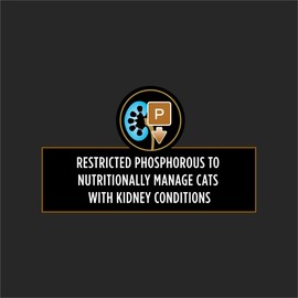 Pro Plan Veterinary Diets Purina NF Kidney Function Advanced Care Feline Formula Adult Wet Cat Food Pate - (Pack of 24) 5.5 oz. Cans