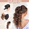 Felendy Ponytail Extension, 18" Claw Clip in Ponytail Extensions Curly