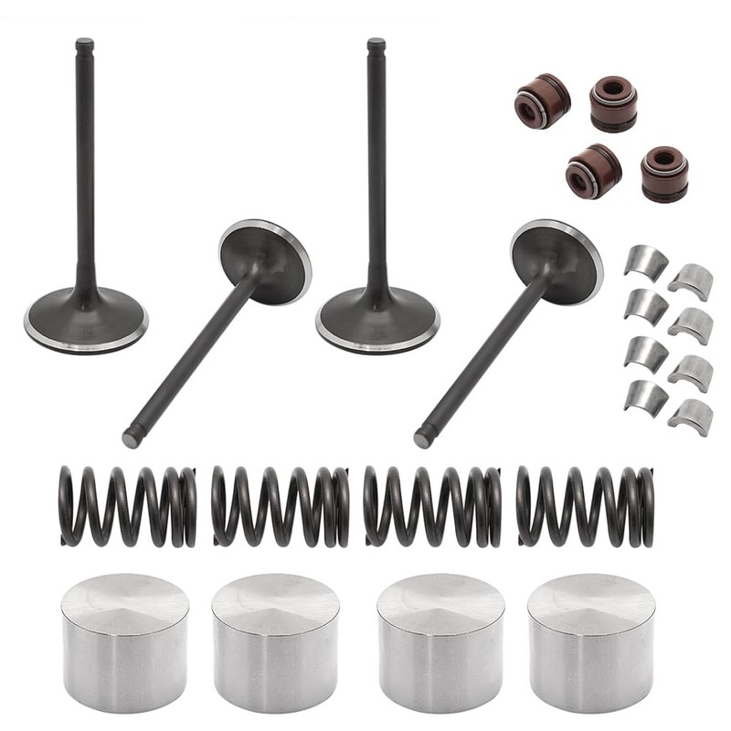 Mabutingti Inlet Outlet Engine Valve Kit for Suzuki Quadsport 400