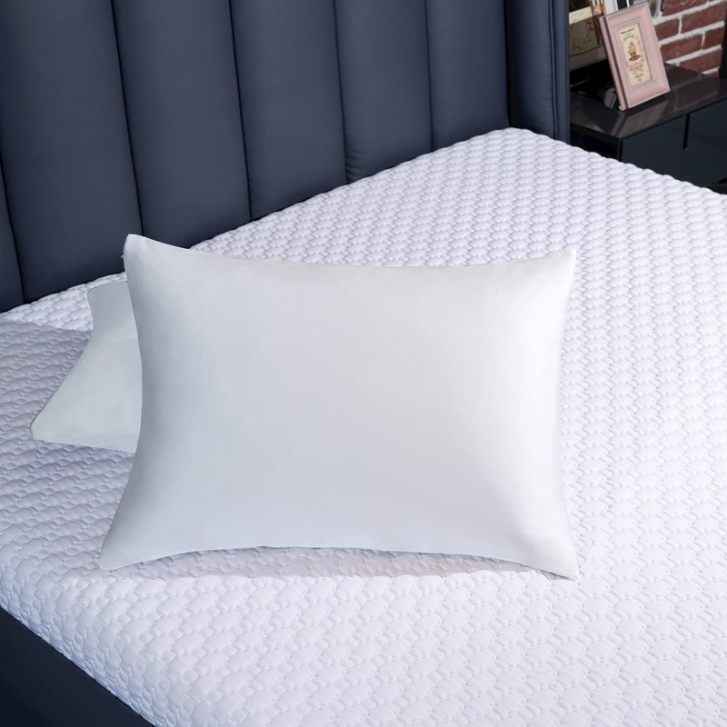 BEIJOEY 100% Mulberry Silk Pillowcase 2 Pack for Hair and