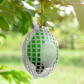 Rooted Promise Fruit Cage White (Pack of 48, Small)