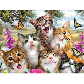 Bimkole 5D Diamond Painting Accessories Cat Flower Pictures, DIY Animals Diamond Painting Kit Full Round Drill Painting by Numbers Painting Embroidery Cross Stitch Diamond Decoration (30 x 40 cm)