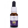 Living Essences Correa 50ml