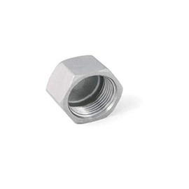 BSP 2" Female Hexagon Blank Cap/Cup - T316 (A4) Marine Grade Stainless Steel Pack Size : 1