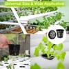 Rmeet 50 Pcs 2 Inch Plastic Hydroponics Planting Mesh Pot