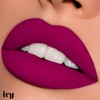 IVY Delineador de Labios en Gel, Indeleble 24 Horas, Resistente