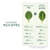 살므시 유기농 컬리케일 곱슬케일 60 정 x 1개 Salmsi Organic