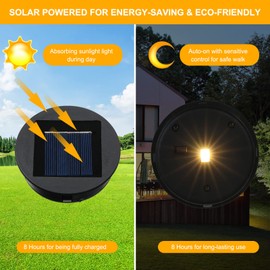 Tomshine 2 Pack Replacement Solar Light Parts-8 lumens Warm White LED Waterproof Solar Light Replacement Top Kit for Outdoor DIY Hanging Lanterns(3.15in)