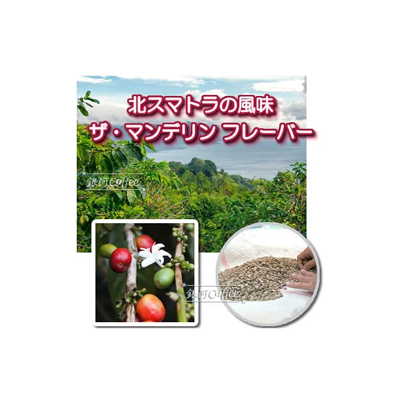 Coffee Raw Beans Mandelin Indonesia Galaxy Coffee (600g)