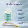 B-FIT B - Berberina HCL - Phellodendron amurense Rupr 60