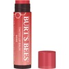 Burt's Bees - Tinted Lip Balm - Rose