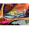 Endo Craft Metal Lipless Lure, Jig Spoon, 0.4 oz (12