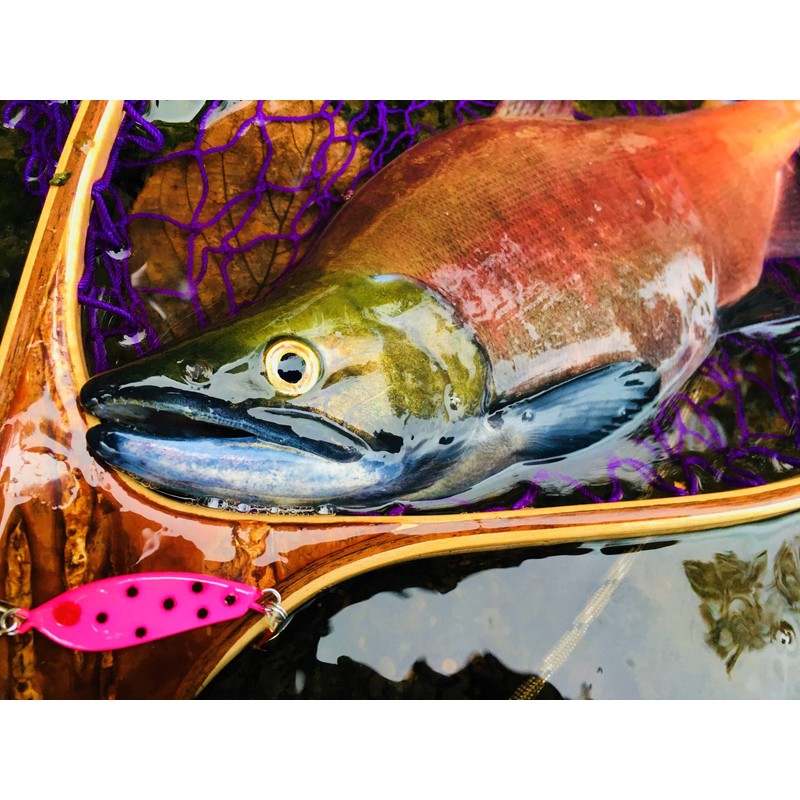 Endo Craft Metal Lipless Lure, Jig Spoon, 0.4 oz (12