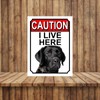 WARNING I LIVE HERE METAL GATE SIGN GREAT DANE THEME