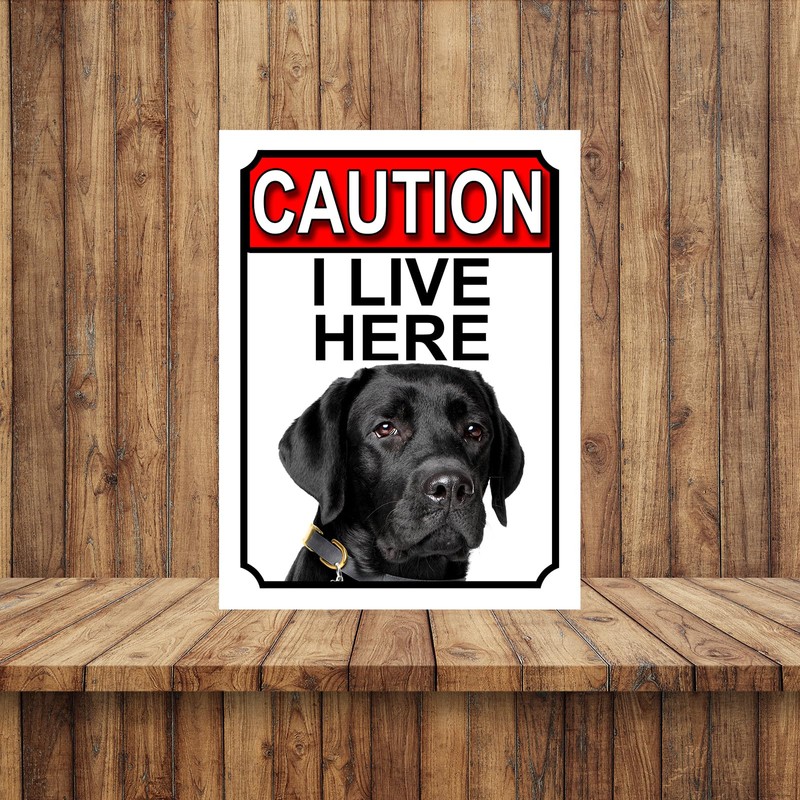 WARNING I LIVE HERE METAL GATE SIGN GREAT DANE THEME