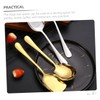 CIYODO 2pcs Male Spoon Gold Utensils Big Spoon Restaurant Serving