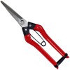 KONYO 31286 Stainless Steel Fruit Shears 8.3 inches (210 mm)