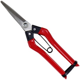 KONYO 31286 Stainless Steel Fruit Shears 8.3 inches (210 mm) Body: Depth 0.8 inches (2 cm), Main Unit: Height 8.3 inches (21 cm), Main Unit: Width 2.1 inches (5.4 cm)