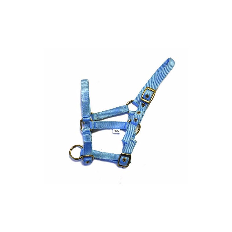 Rhinegold Nylon Foal Headcollar - Baby blue