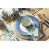 Caspari Linen Border Paper Dinner Plates in Blue II -