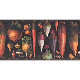 Vegetables Explained Educational Black CB3049V21B Wallpaper Border