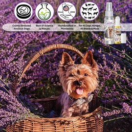 The Blissful Dog Relax Roll-On Aromatherapy for Dogs - Anxiety Relief for Dogs