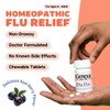 Genexa Flu Fix | Multi-Symptom Flu Remedy for Kids &