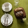 Chorowl Green Velvet Table Cloth Rectangular Decorative Ruffle 60x102 Inch