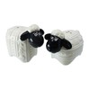 Clara Woolly Ware Salt & Pepper