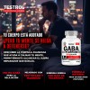 Gaba Platinum 4 En 1 Testrol 90 Cpsulas Descanso Natural