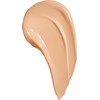 Brilliage Creators Long Wear UV Cushion Brilliant Skin EX 60