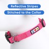 Pawtitas Reflective Dog Collar Adjustable Dog Collars for Small Dogs
