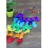 Rainbow Dreamcatcher