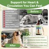 Young Heart for Dogs, DogHeart Support Drops with Hawthorn &