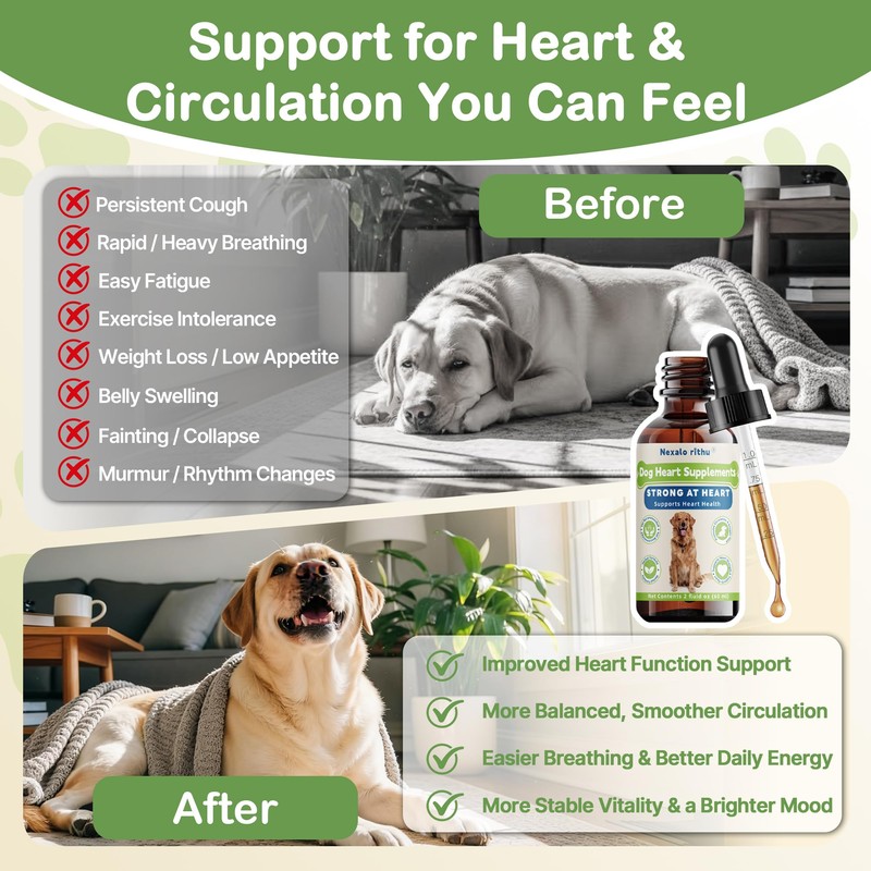 Young Heart for Dogs, DogHeart Support Drops with Hawthorn &