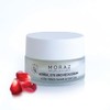 Herbal Eye and Neck Cream by Moraz for Unisex -