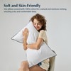 Pacific Coast Pillows Queen Size Set of 2, Goose Feather