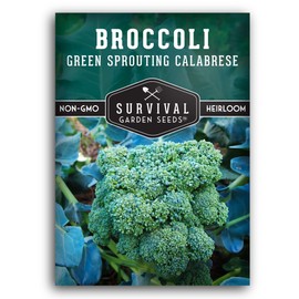 Survival Garden Seeds - Green Sprouting Calabrese Broccoli for Planting - Packet with Instructions to Plant and Grow Delicious Superfood Veggies Your Home Vegetable Garden - Non-GMO Heirloom Variety
