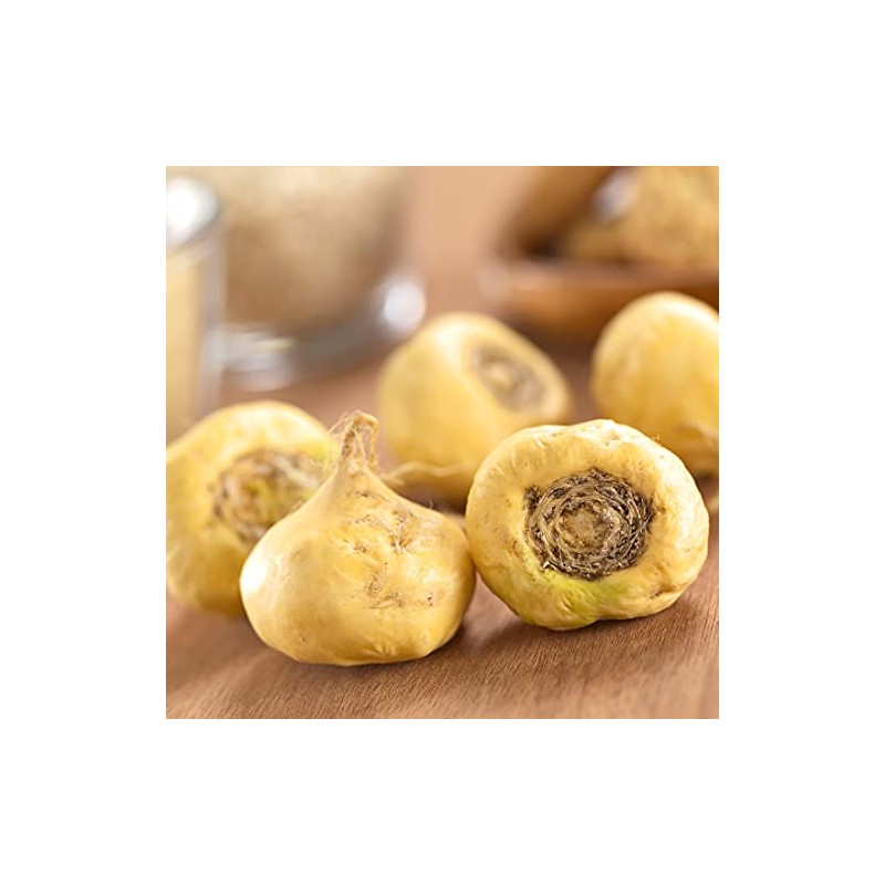 Rio Health Tinctures Maca Mixed